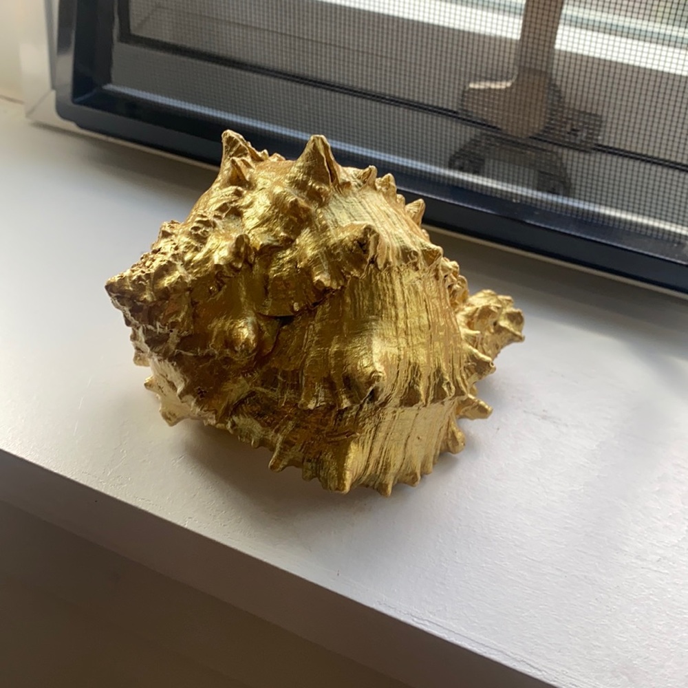 Beautiful real sea conch painted 24k gold color.